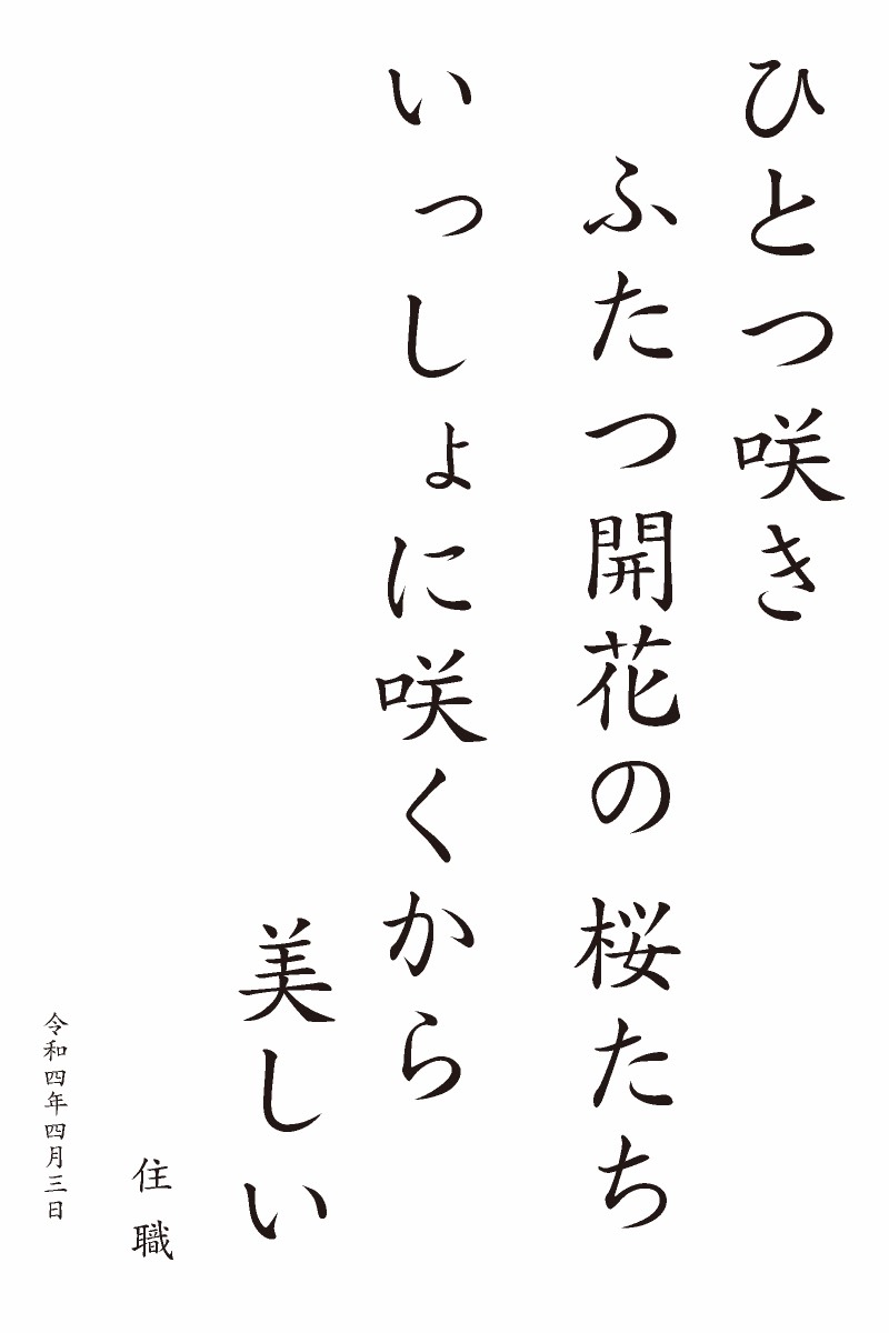 ひとつ咲きふたつ開花の桜たち